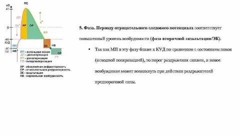 Фазы соответствующие