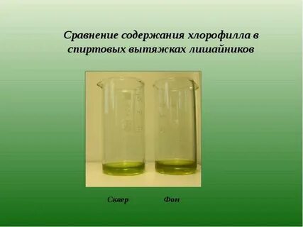 Содержание хлорофиллов