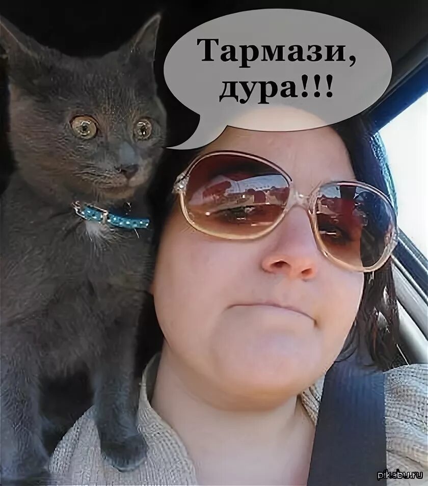 Спасибо дура кот