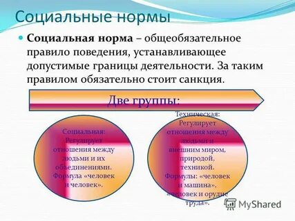 Системой общеобязательных социальных норм