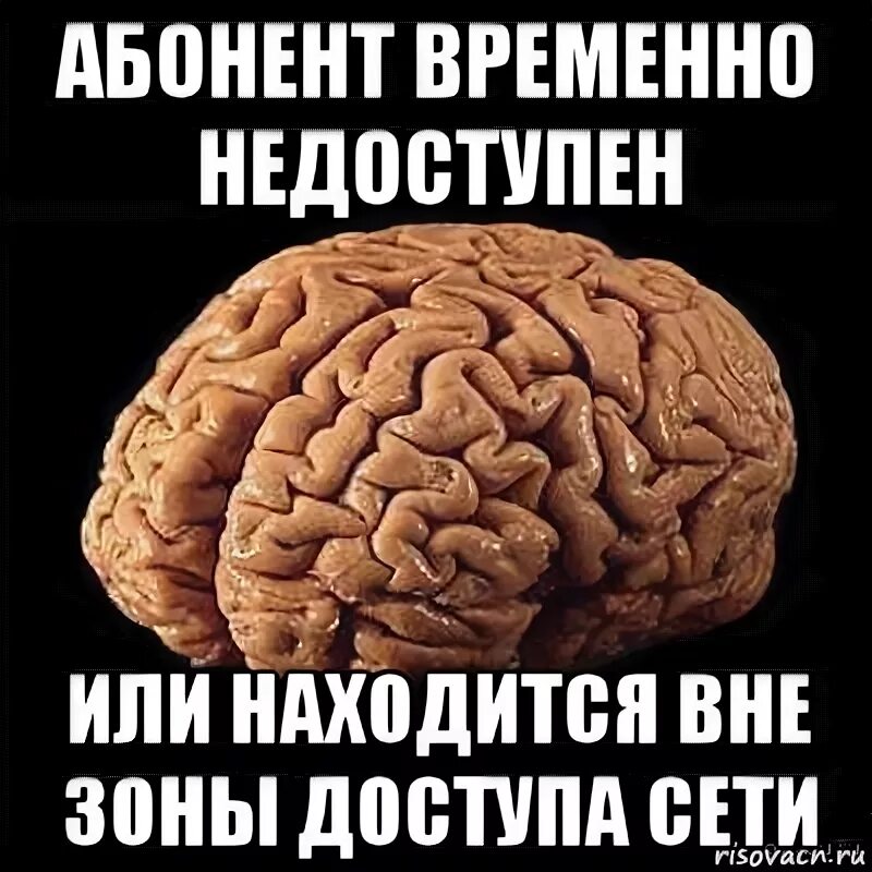 Абонент временно недоступен или находится. Абонент временно недоступен. Мозг временно недоступен. Вне зоны доступа. Мемы про мозг.