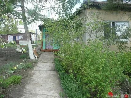 Погода поповка саратовский
