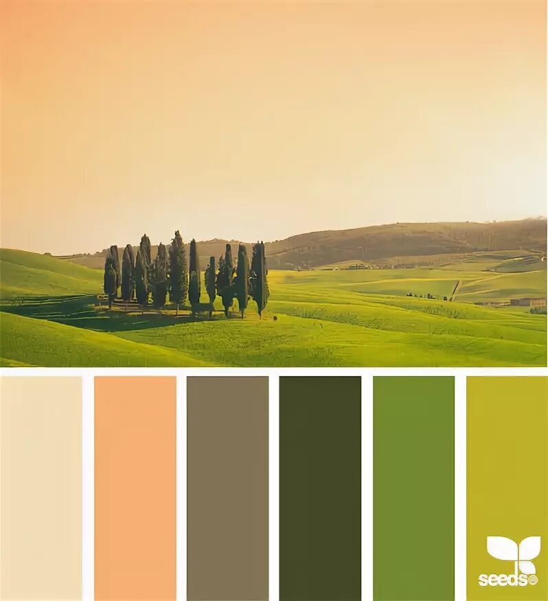 системный подход в экологии. цветовая палитра зеленый. экологические сочетания. экологические сочетания. сочетание с зеленым.