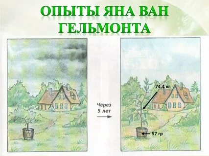 Эксперимент ван