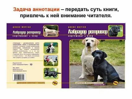 Без аннотации