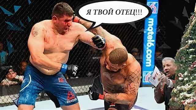 Бой с твоей губой. Бой мой с твоей губой. Iaquinta боец. Жирный барсик эстетика группы. Чимаев боец ufc.