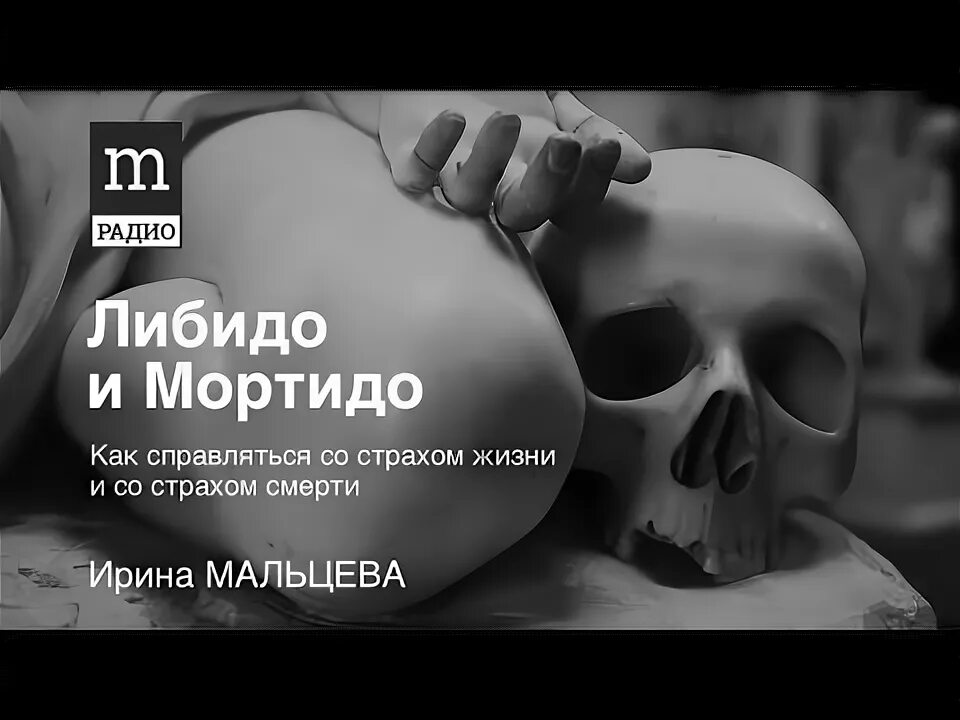 Либидо и лета. Мортидо и деструдо. Мортидо Фрейд. Либидо и мортидо. Либидо мортидо деструдо.