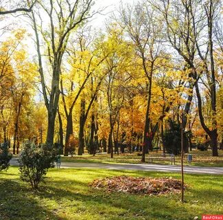 Осень кубань
