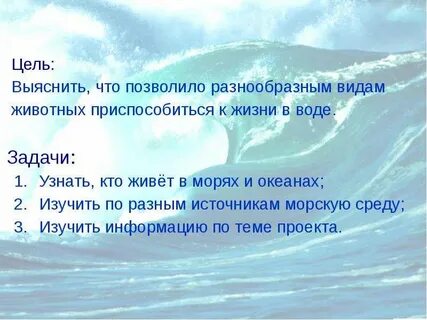 Цель моря