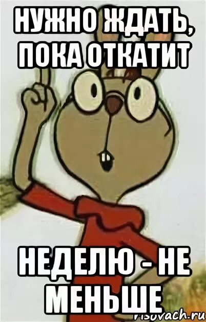 Придется ждать день. Неделю не меньше. ждать неделю не меньше. неделю не меньше картинка. неделю не меньше кролик.