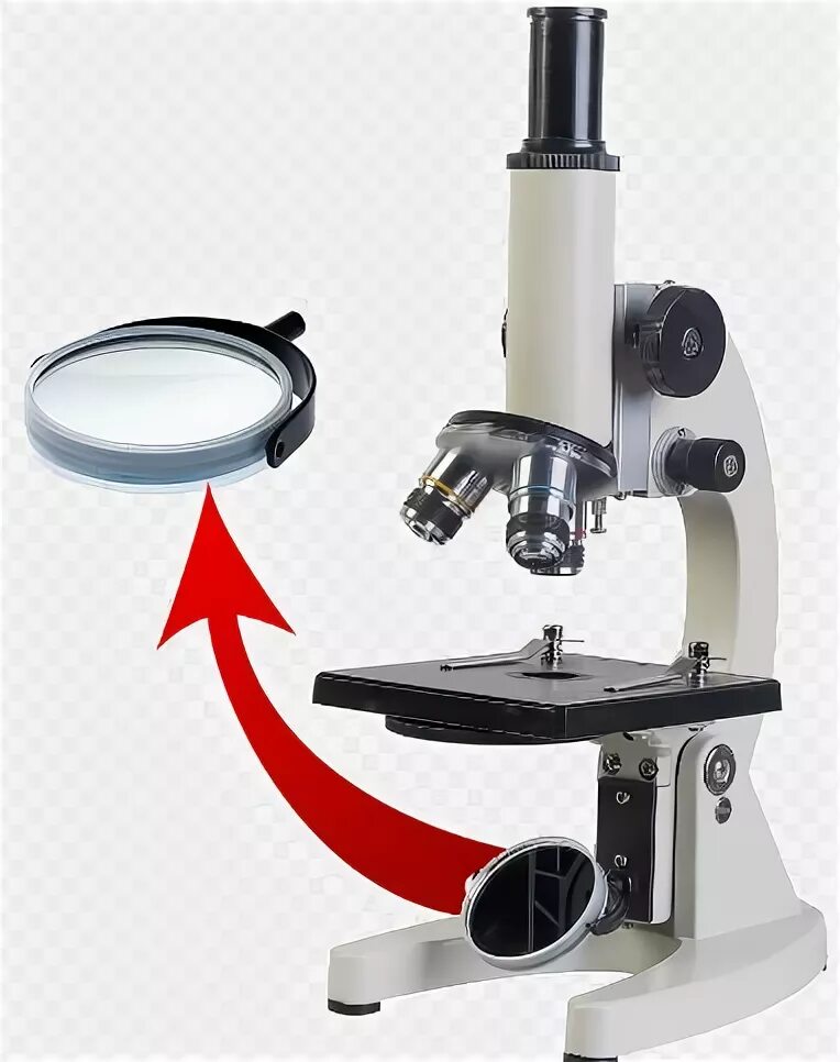 Какую функцию выполняет зеркальце в микроскопе. Зеркало от микроскопа. Деталь микроскопа зеркальце. Микроскоп с зеркалом. Микроскоп зеркальный части.