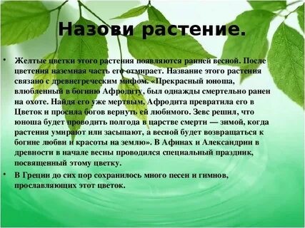 Жизнь в каждой среде имеет свои