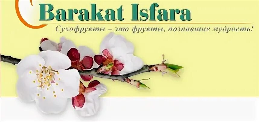 Баракат на русском. Баракат Исфара сухофрукты. ООО Баракат. Баракат Агро. Исфара абрикос Баракат.