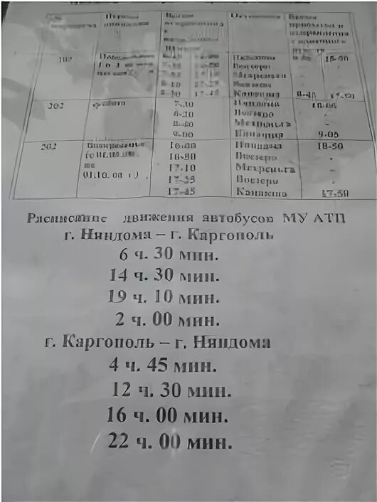 Купить продать няндома каргополь