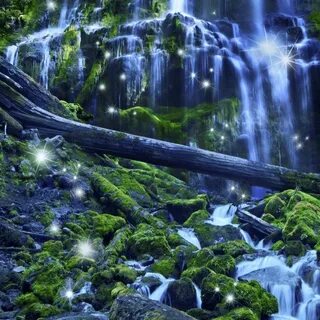 Unseen world