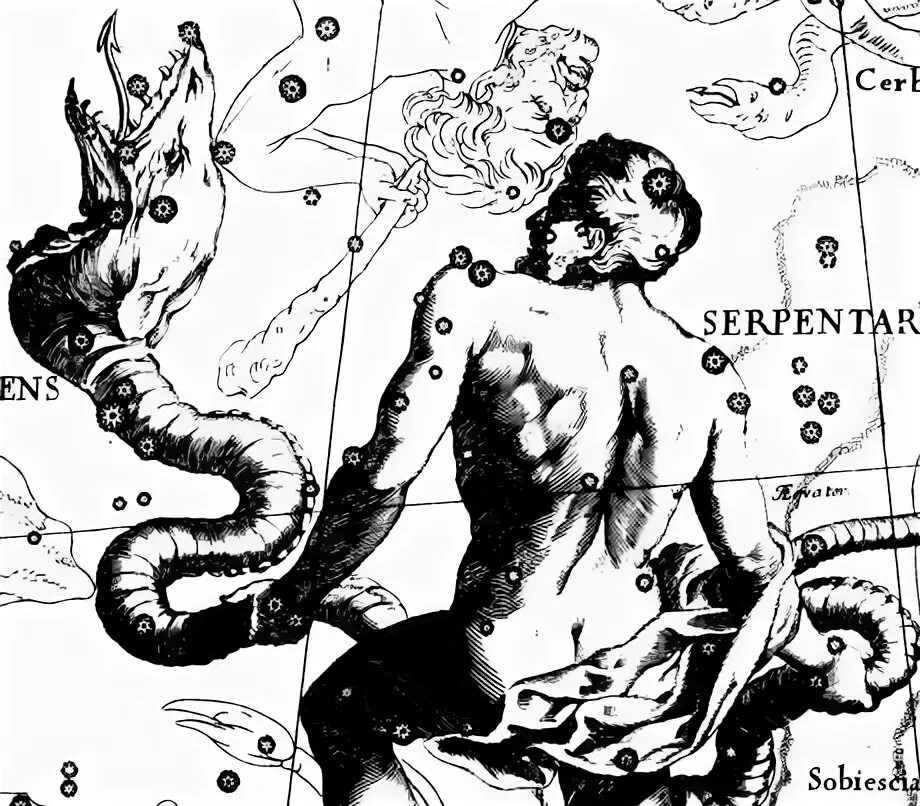 Стрелец и змееносец. Тату созвездие змееносец. змееносец шива. тату змееносец и стрелец.