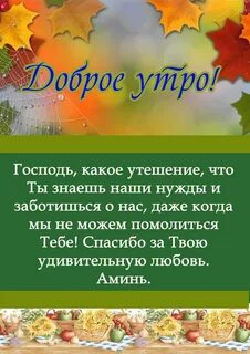 Отзывы о добром утре