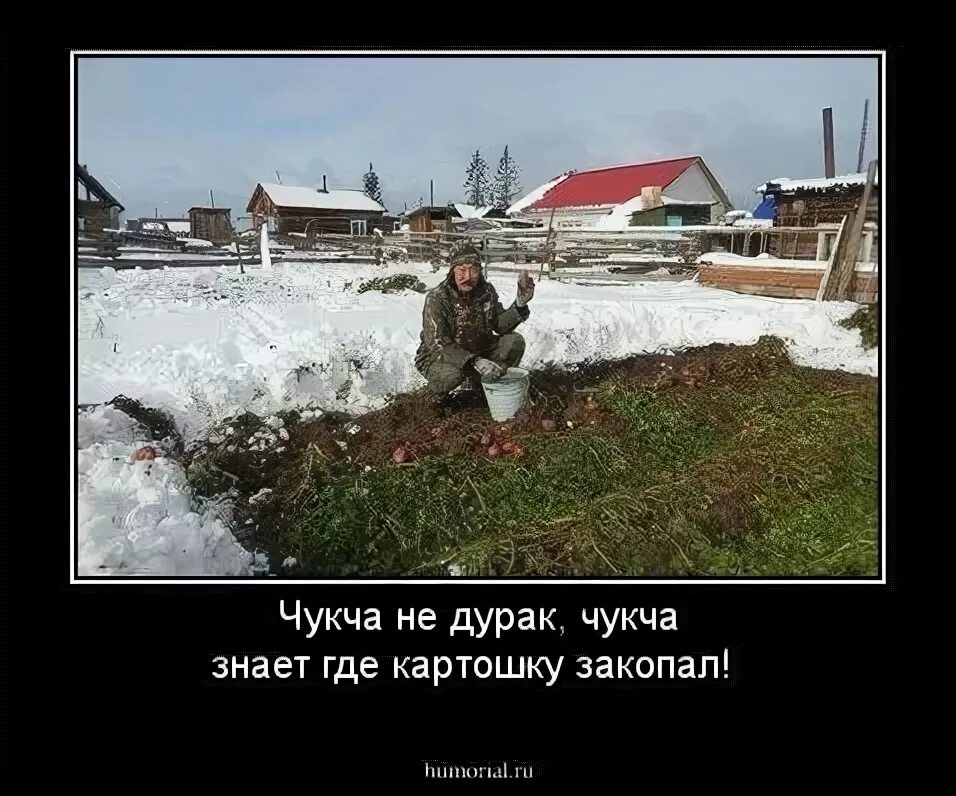 Анекдоты про чукчу. Летели в самолете еврей грузин и русский. Чукча карикатура. Чукча однако. Чукча умный.