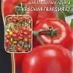 Красная гвардия томат описание сорта характеристика отзывы. Томат красная гвардия характеристика. Красная гвардия томат описание сорта характеристика отзывы. Дачник/ 20 шт. Красная гвардия томат описание сорта характеристика отзывы.
