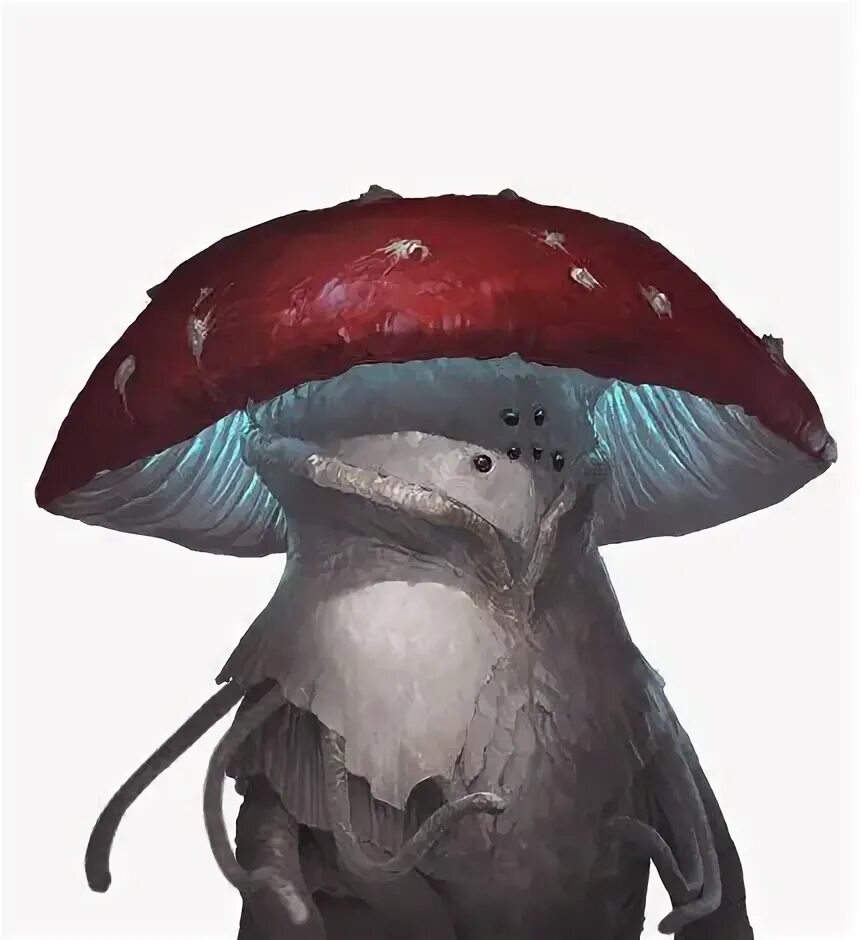 Legend of mushroom летучие питомцы