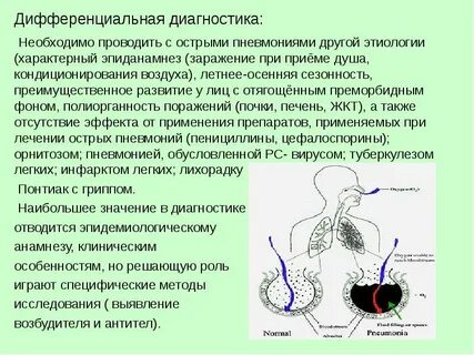 При обнаружении возбудителей