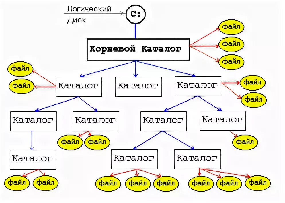 Корневой каталог находится. Корневой каталог это в информатике определение. Корневой каталог файла это в информатике. Корневой каталог это в информатике 7 класс. Дерево файлов и каталогов.