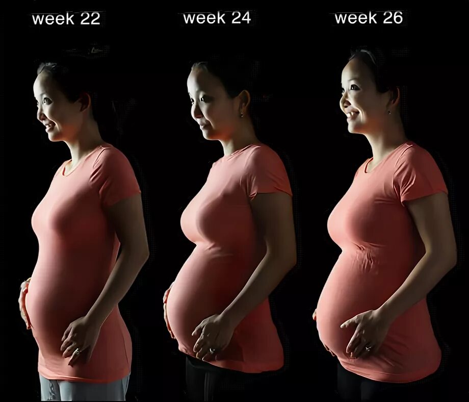 24 неделя отзывы. 26 Weeks Bump. Pregnancy Transformation week by week pregnant belly progression. 13 Weeks photos.