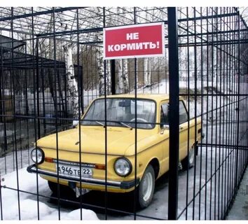 Машина зоопарк