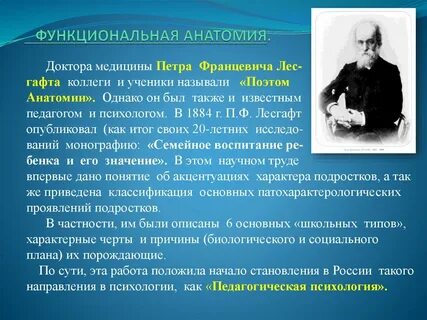 Лесгафт анатомия