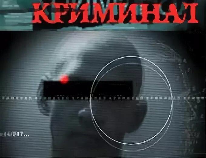 Криминальное программа передач. Передача про криминал. криминальные программы.