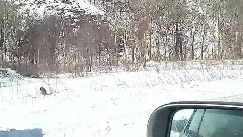 Погода чугуевка приморский рп5