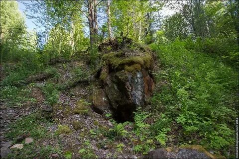 Копи под