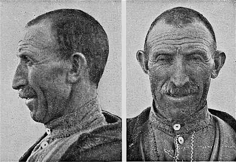 Расы западной европы