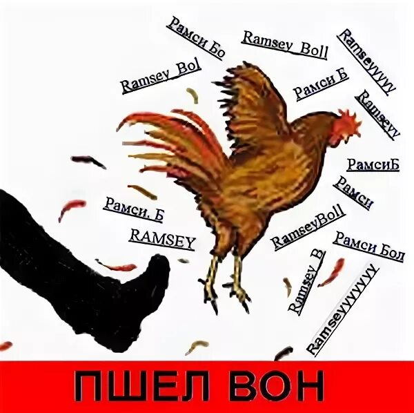 Пинок петуху. Пинает петуха. Петуха под зад. Пшёл вон петух.