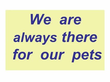 We are always ready to
