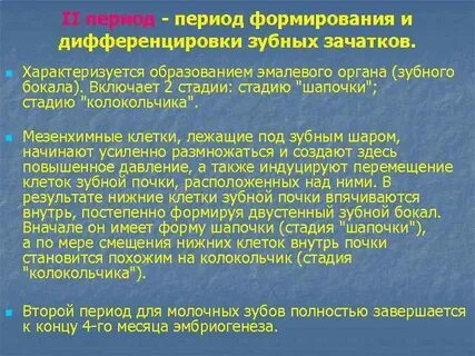 Периоды дифференцировки