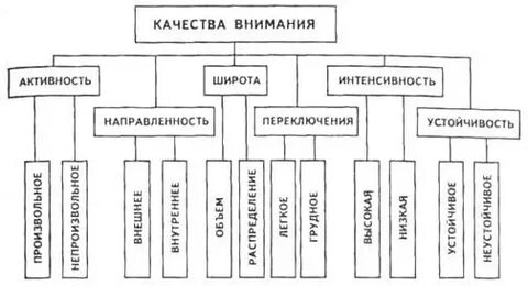 Какие качества внимания