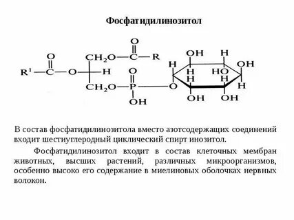 Инозитол функции