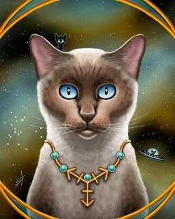Кот стрелец