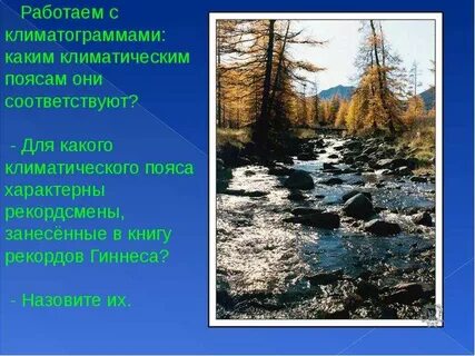 Наибольшее количество поясов характерно для гор