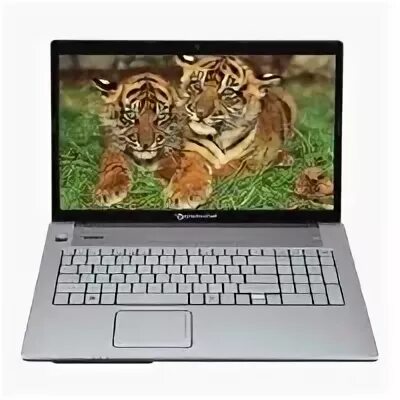 Packard bell easynote lx86