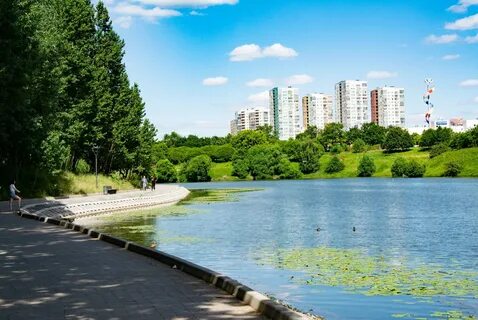 Солнцево лет