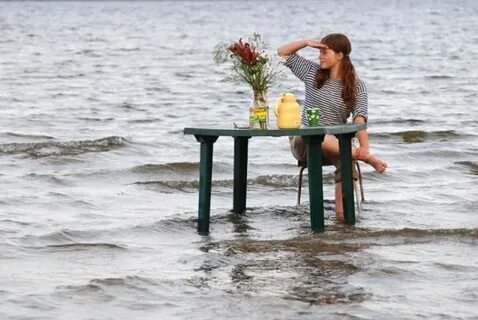 С начало года было проведено