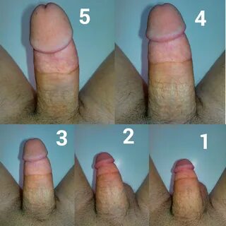 Pictures of normal size penises - Best adult videos and photos