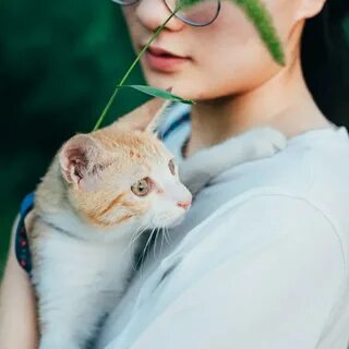 Кот лучше девушки