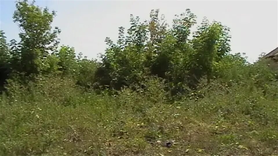Снт бугорок уровень волга ульяновск. Снт бугорок уровень волга ульяновск