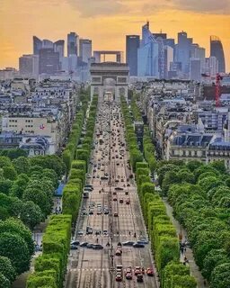 Avenue des