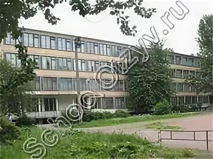 Школа 311 отзывы