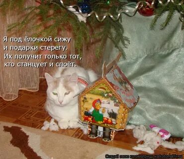 Елочки сидели