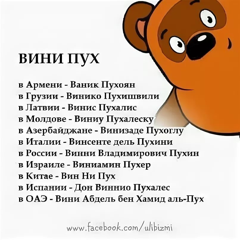 Описание винипуха. Винни пух на разных языках. Разный Винни пух. Вини пух на разных языках. Имя Винни пуха на разных языках.